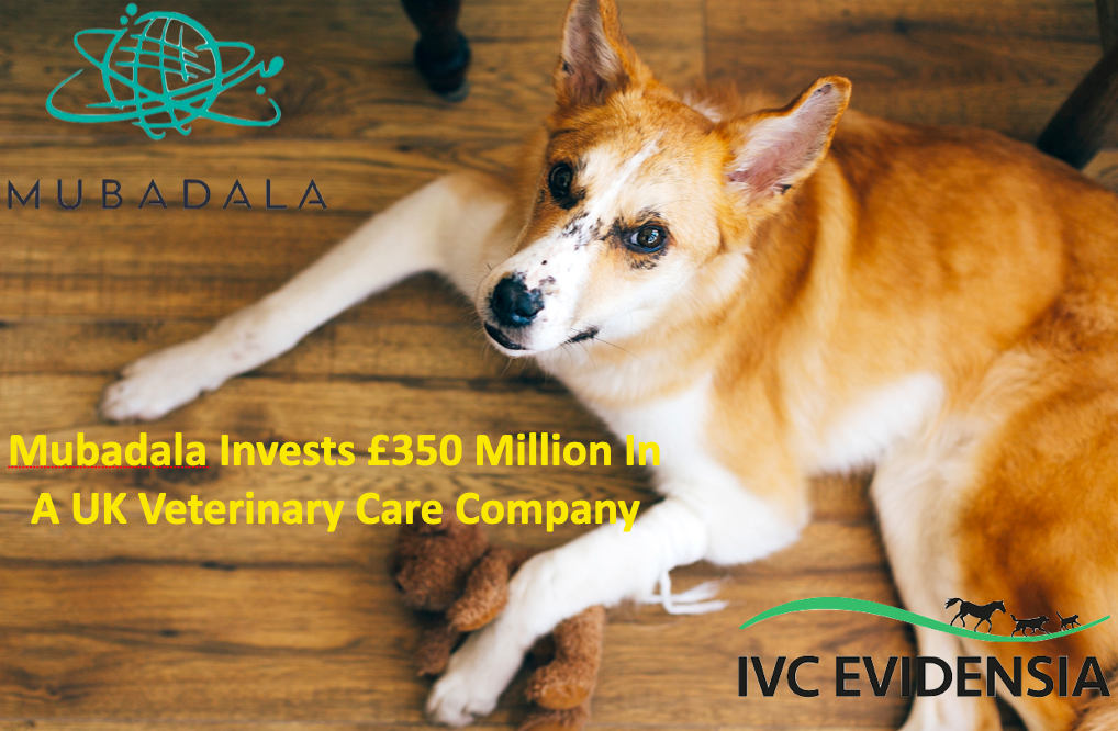Mubadala invests £350 million in a UK veterinary care company